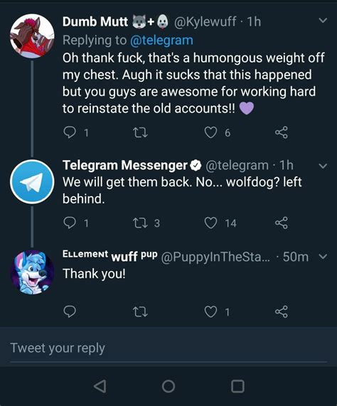 Telegram: Contact @rfurryirl.